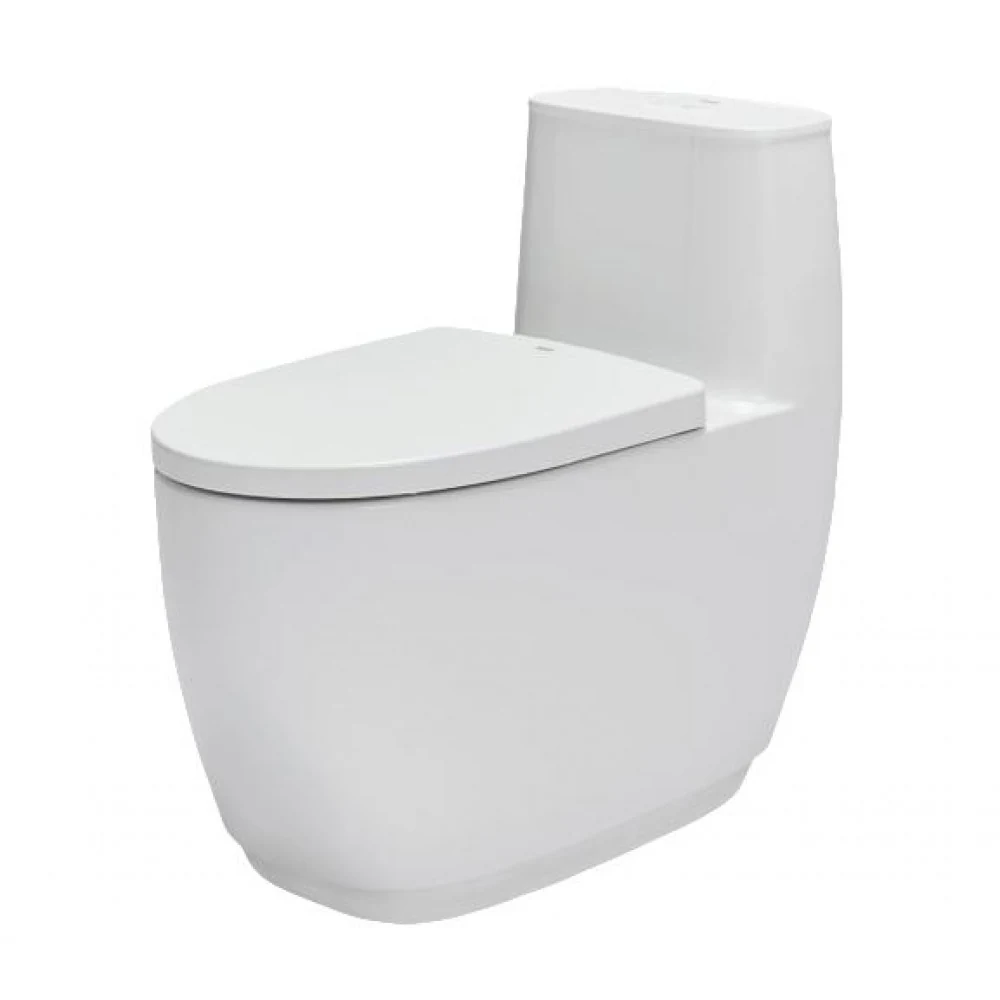 Bồn cầu 1 khối INAX AC-1052VN Aqua Ceramic (AC1052VN)
