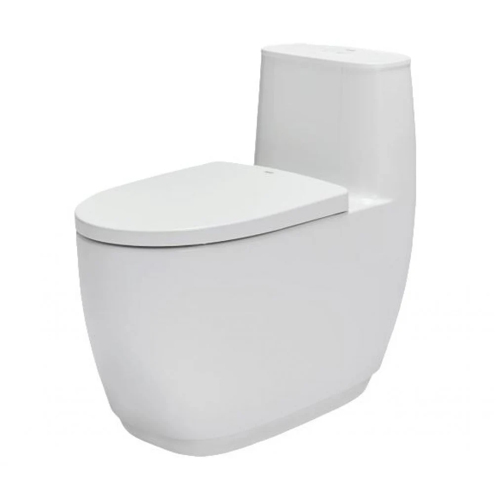 Bồn cầu 1 khối INAX AC-1052VN Aqua Ceramic (AC1052VN)